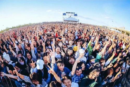 麦田音乐节视频吃瓜原因,揭秘视频吃瓜背后的真相与争议