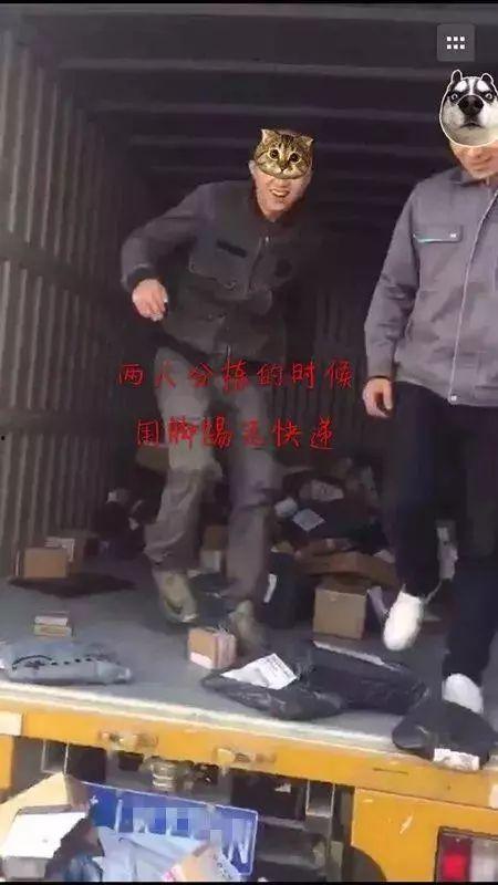 吃瓜取快递视频大全,揭秘快递界的趣味瞬间