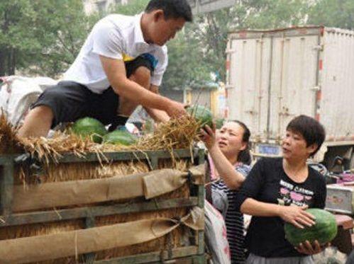 邢台市吃瓜事件视频最新,一场网络热议背后的真相揭秘
