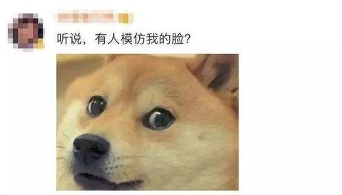 狗头萝丽吃瓜视频怎么找,揭秘网络红人的幕后故事