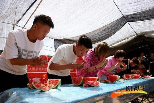 河北柏乡吃瓜事件视频,一场引发热议的网络视频风波