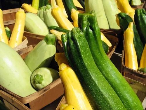 多种吃瓜视频大全最新网站,揭秘各大网站最新瓜料汇总