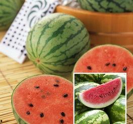 大瓜头吃冰西瓜视频大全,清凉一夏欢乐多