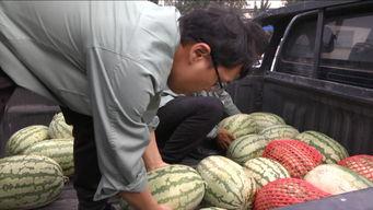 吃瓜群众的开心生活视频