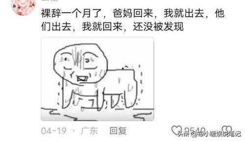 看别人吃瓜吵架犯法吗视频,揭秘网络热议背后的法律边界