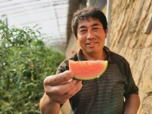 商河吃瓜事件真相视频,真相视频曝光背后的惊人内幕