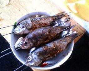 烧烤料吃砍瓜的做法视频,砍瓜新吃法，夏日清爽烧烤盛宴