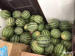 花店的吃瓜视频在哪看到,探寻幕后故事与花店日常