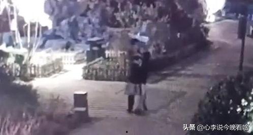 青岛李沧吃瓜事件视频曝光,视频曝光引发社会关注