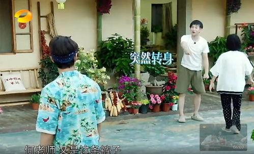 平乡吃瓜事件真相视频,揭秘真相背后的惊人内幕