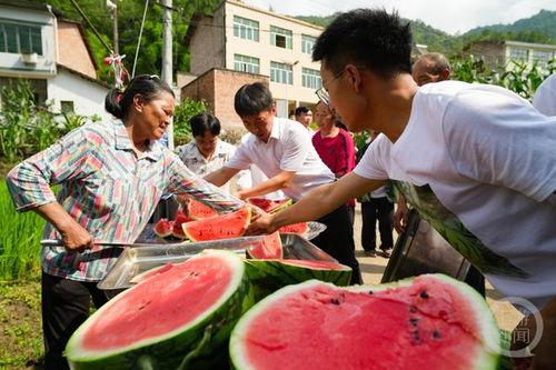 热闹吃瓜的视频大全,热闹吃瓜视频大盘点
