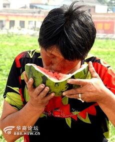 东北老太太吃瓜事件视频,一场引发网友热议的短视频狂欢