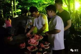 永琪集体吃瓜事件视频大全,视频大全带你领略娱乐圈风云变幻