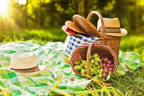 野餐兔易晨吃瓜视频,揭秘娱乐圈幕后故事