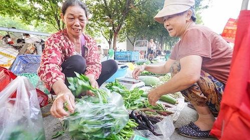 早市吃瓜卖菜视频大全集,蔬菜满筐——早市吃瓜卖菜视频大全集精彩回顾