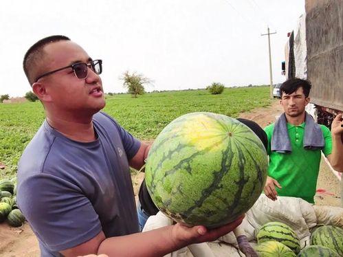 温江吃瓜新闻事件视频