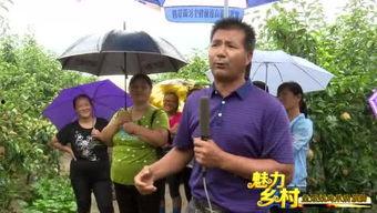 辛集吃瓜新闻最新消息视频,最新视频揭秘事件真相！