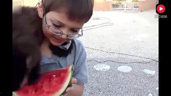 讲解吃瓜恶心事件视频,网络暴力下的道德困境