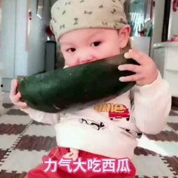 宝宝吃小瓜的视频大全集,视频大全集精彩回顾