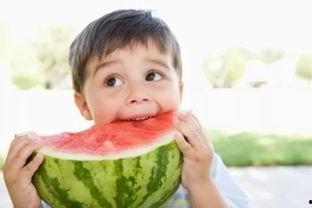 小孩子吃咸瓜好吗视频讲解,咸瓜对小孩的影响解析
