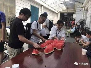 成都人吃瓜群众视频,揭秘麻辣生活百态