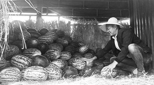 城固吃瓜群众事件视频曝光,视频曝光揭示现场冲突瞬间