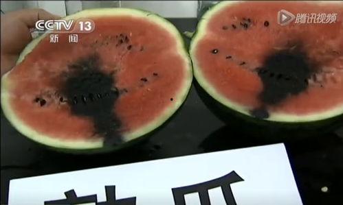 韩城百姓吃瓜视频