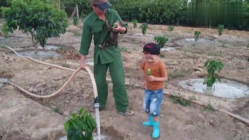 给猴子吃瓜根视频