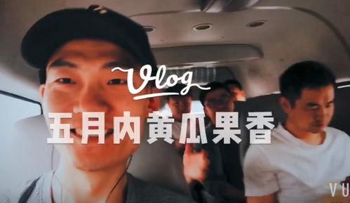 网红主播带你吃瓜视频大全