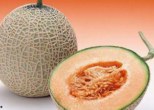 爆笑吃哈密瓜视频下载,下载收藏必备