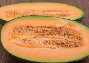 青鱼会吃哈密瓜吗图片视频