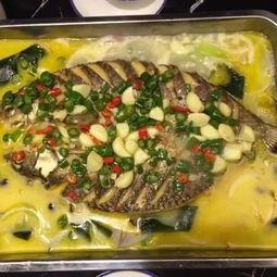 瓜哥吃瓜鸟鱼视频,揭秘瓜哥吃瓜鸟鱼视频背后的趣味与真相