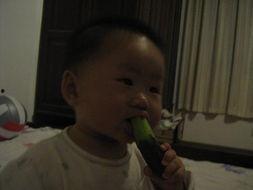 8个月宝宝吃瓜的视频