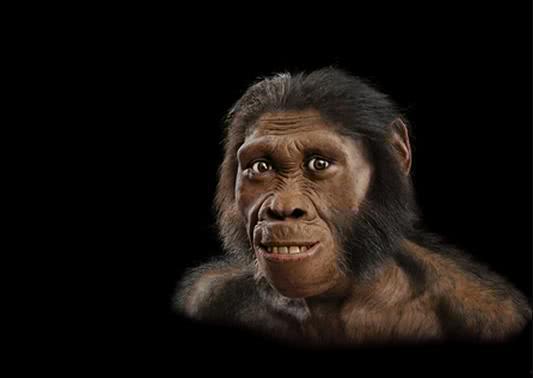 原始人吃瓜原视频,揭秘史前人类饮食习惯