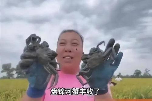 东北雨姐吃瓜视频播放,揭秘娱乐圈幕后故事