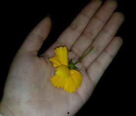 吃瓜热门素材视频,笑料百出，娱乐无限