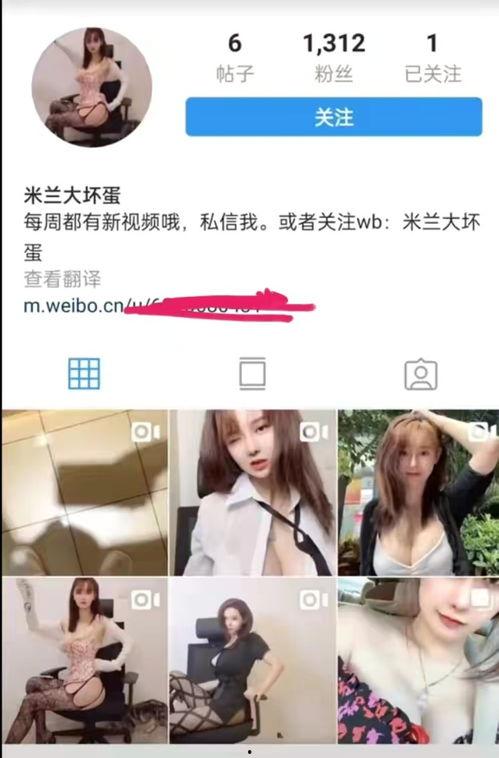 涞水直播吃瓜事件视频,一场网络舆论的风暴与反思