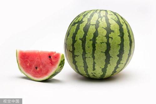 吃高石脆瓜视频大全集,视频大全集精彩回顾