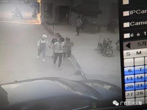 礼县吃瓜网红事件视频播放