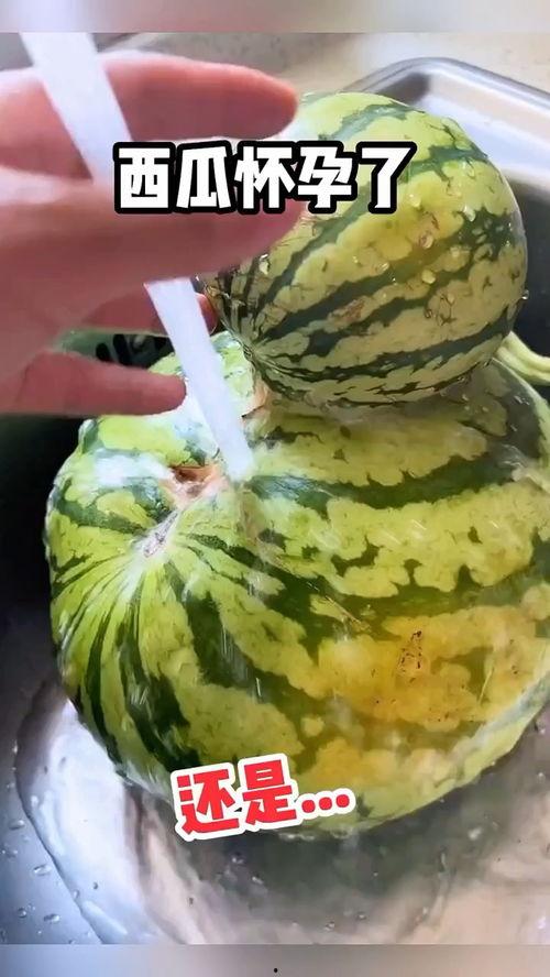 吃红瓜的配音视频大全在线观看,海量视频在线观看，笑料横生，欢乐无限