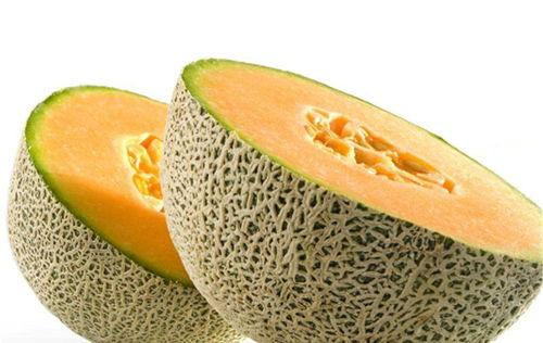 牧羊人吃哈密瓜视频,现场品尝分享快乐时光