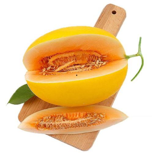 小二哈吃蜜瓜视频,萌宠大快朵颐，甜蜜瞬间萌翻网友