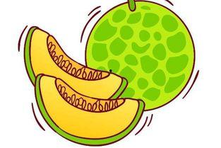 吃哈米瓜视频下载,揭秘哈米瓜视频下载攻略