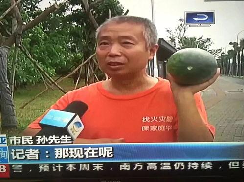 吃瓜热门事件大全视频,热门事件大盘点