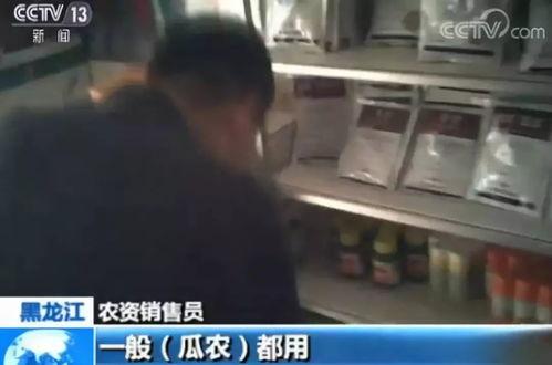 晋州吃瓜事件视频曝光最新,视频曝光揭示惊人真相