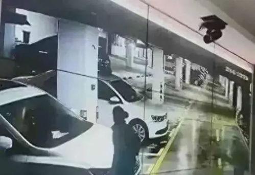 车库吃瓜群众视频,揭秘幕后故事与趣味瞬间