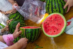 保险翰林院吃瓜视频,吃瓜视频背后的行业真相