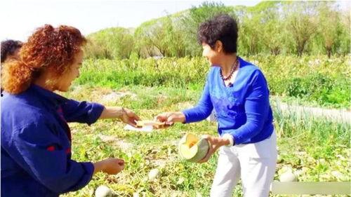 李奶奶吃哈密瓜视频,哈密瓜视频里的幸福滋味