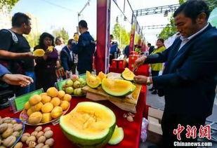 湖北咸丰最新吃瓜视频