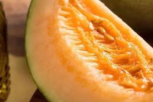 怎么吃哈米瓜才好吃视频,视频教你如何吃出最佳口感